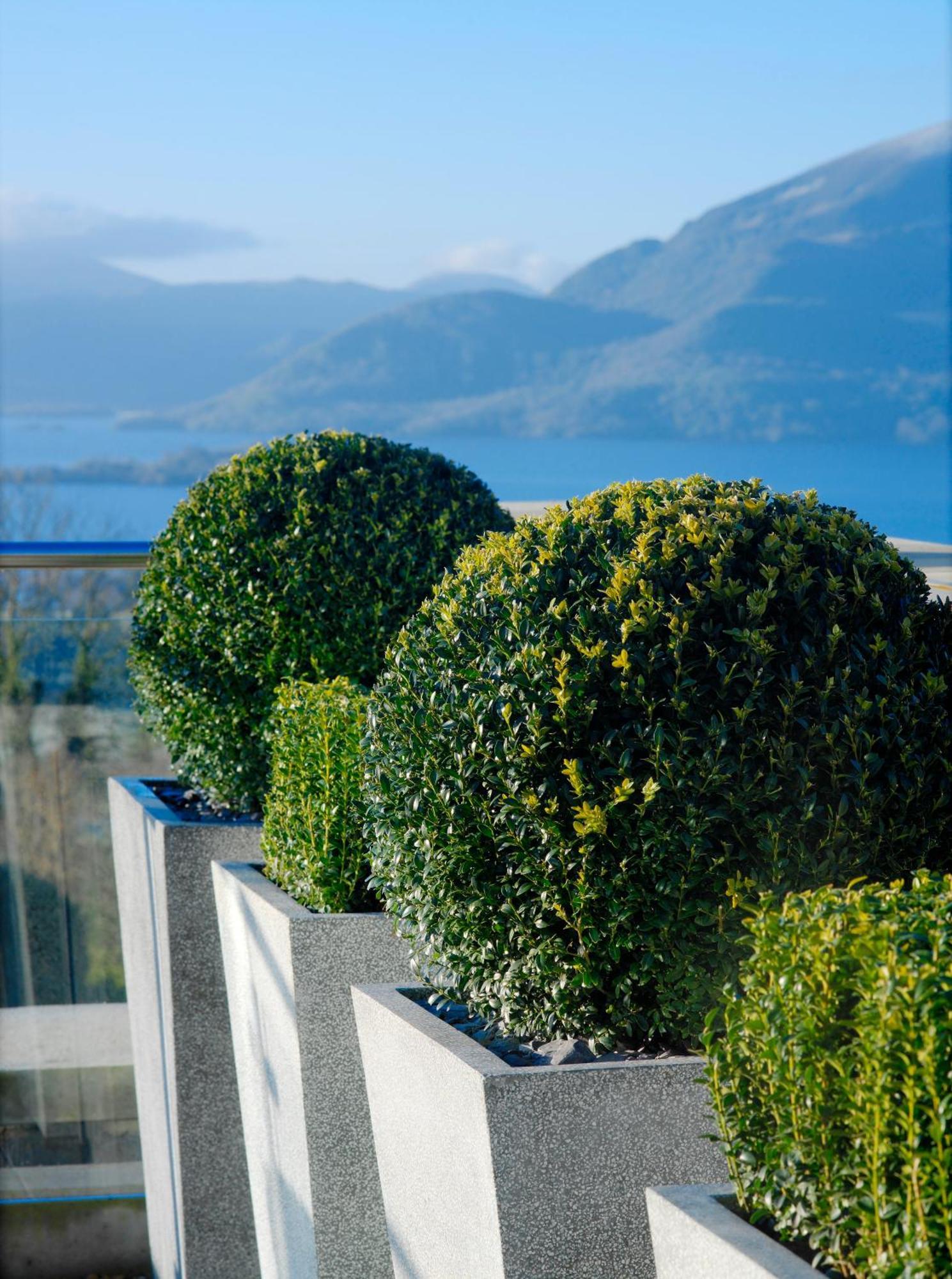 Aghadoe Heights Hotel & Spa キラーニー エクステリア 写真 Boxwood